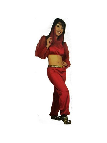 Adult Fashion Harem Girl Costume-COSTUMEISH