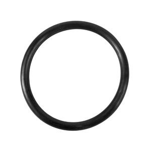 O-Ring for Volute Housing F600C, F700C, F1000C, F1500C Pumps 090-130012